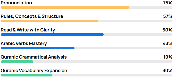 Arabic learning skill breakdown showing progress in pronunciation, grammar, reading, verbs, and Quranic analysis