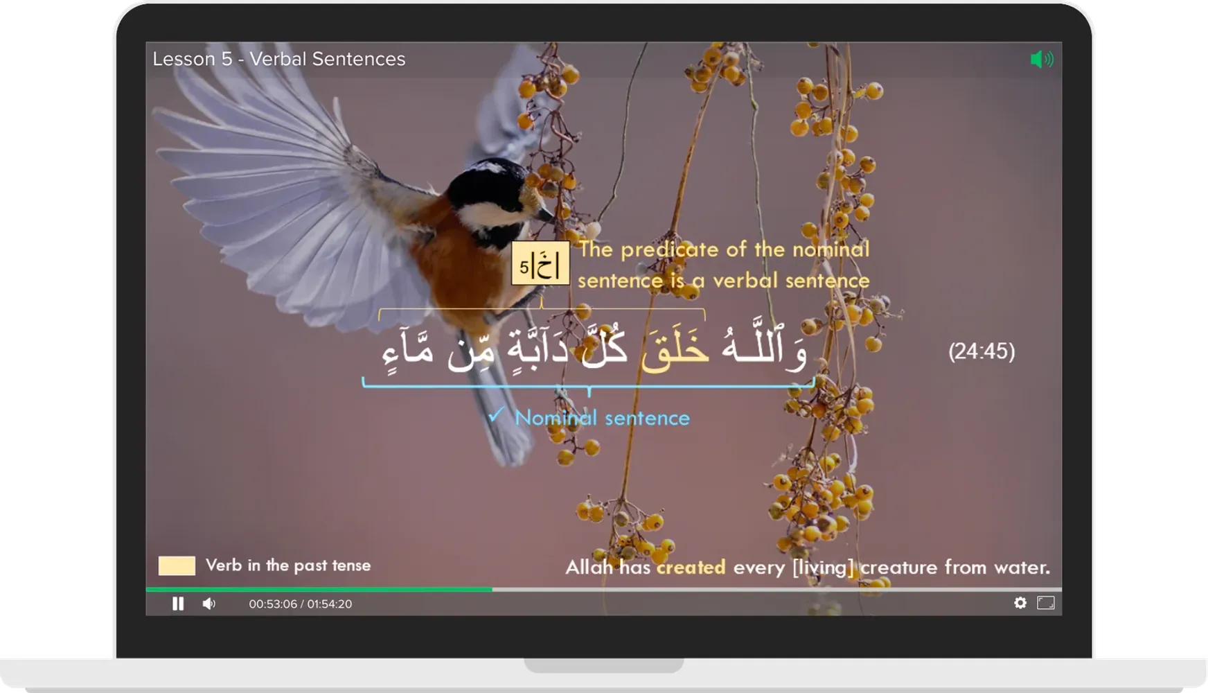 Image link